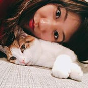 Jie Chens foto