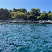 Caroline Oyé's photo