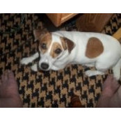 Charles Estepp's photo
