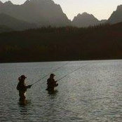 Sue Kallaugher's photo