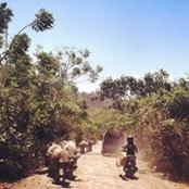 Sarina Mitschel's photo