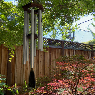 Backyard with pond and sport court