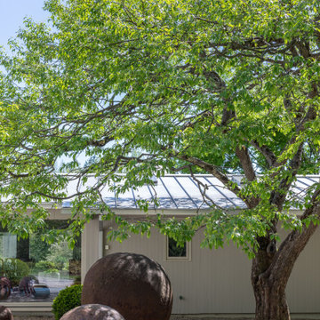 Country Fruit Tree Pruning