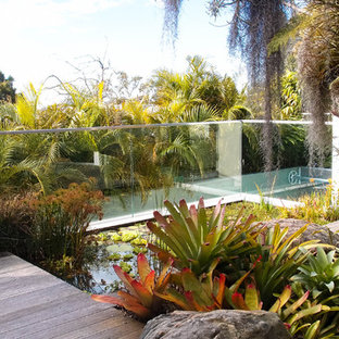 Inspiration for a contemporary backyard garden in Sydney with a water feature.