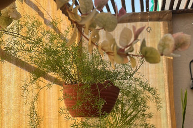 Mountain style balcony photo in Other