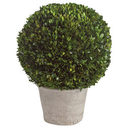 Traditional Artificial Plants And Trees by Napa Home & Garden