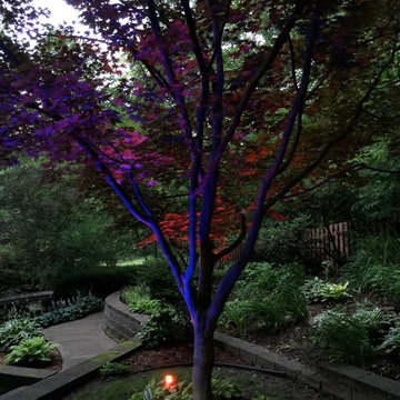 Colored LED lighting
