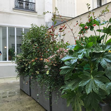 Patio Ideas