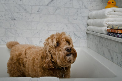 Inspiration for a mid-sized transitional master gray tile bathroom remodel in Toronto with white cabinets, gray walls, a two-piece toilet, an undermount sink and a hinged shower door