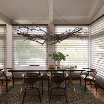 Hunter Douglas Sheers & Shadings