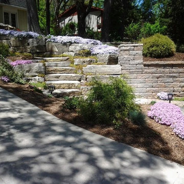 Our Work
