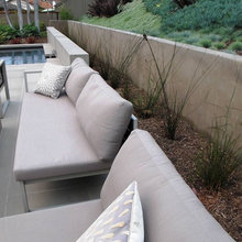 plants for the slope