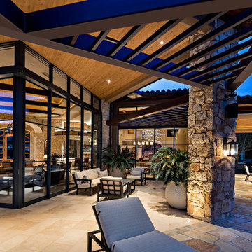 Saguaro Forest Contemporary