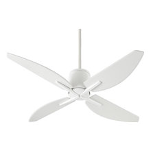 Ceiling Fans