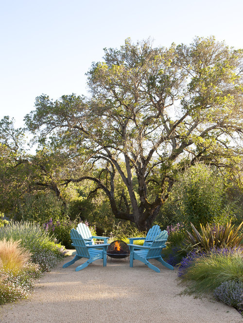 Planting Under Oaks Houzz