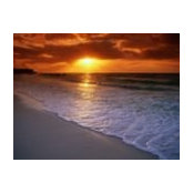 Rhonda Phillips's photo