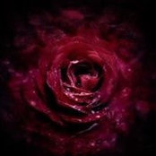 Foto von Sergey Rogov