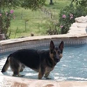 Jennifer Sutrick's photo