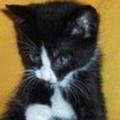 jane carrigan's photo
