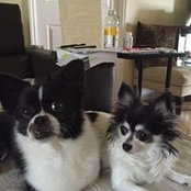 Roxana Varela's photo