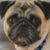 Julie Bowman's photo