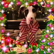 Carole Evanoff's photo