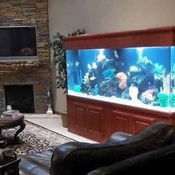 Free Standing Aquariums
