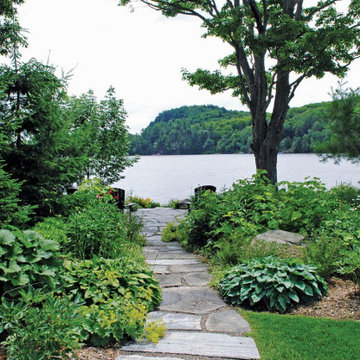 Do You Need Preventative or Reactive Tree Care?