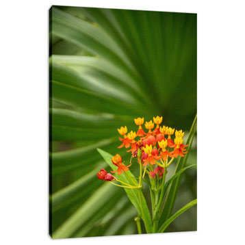 Bloodflowers and Palm Color Floral / Botanical Canvas Wall Art Print, 12" X 16"