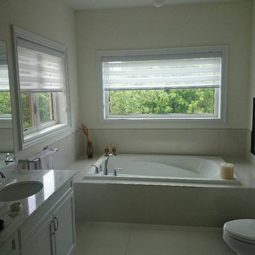 Zebra Blinds