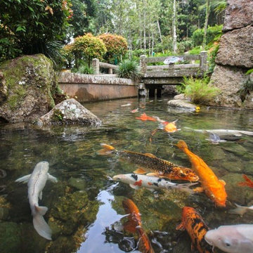 Custom Pond & Water Feature Installations