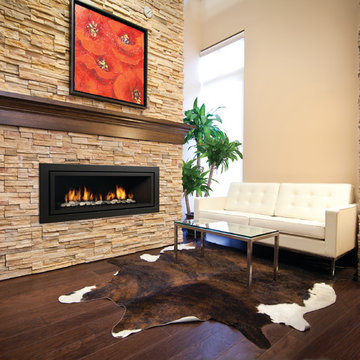 Modern Fireplace