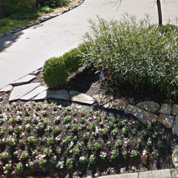 Curb Appeal
