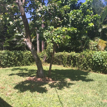 247 Pilot St Boca Grande, FL