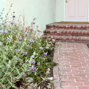 Royal California Native Frontyard Plant Bundle