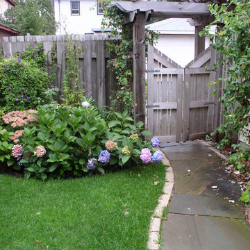Backyard Paradise