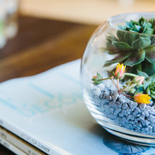 DI terranium