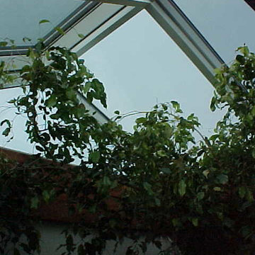 Ridge Skylight with Vertical and operable sections