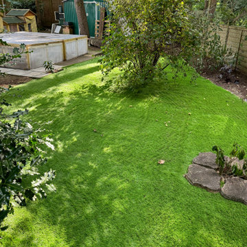 New Turf Laid Round Established Shrubs and Beds