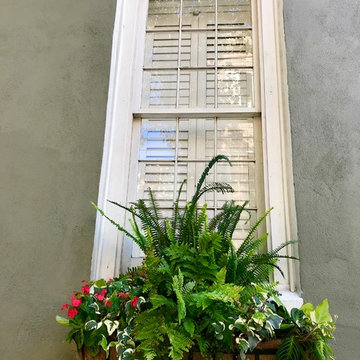 Southern Window Boxes