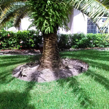 Landscape Lighting