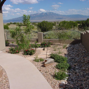 Design ideas for a small and desert look traditional backyard partial sun xeriscape for spring in Albuquerque with concrete pavers.