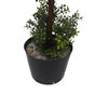 Vickerman 5' Artificial Potted Triple Ball Green Boxwood Topiary