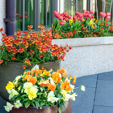 Stewardship of the Iconic Baha'i Temple Landscape