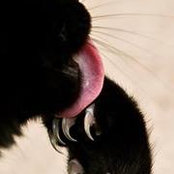 Kathy Fisher's photo