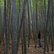 Kathleen Donahoe's photo