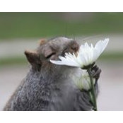 Behiye Soydan's photo