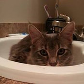 Shelby Deleon's photo
