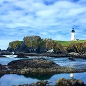 Amy Larsen's photo