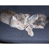 Bill Stevens's photo